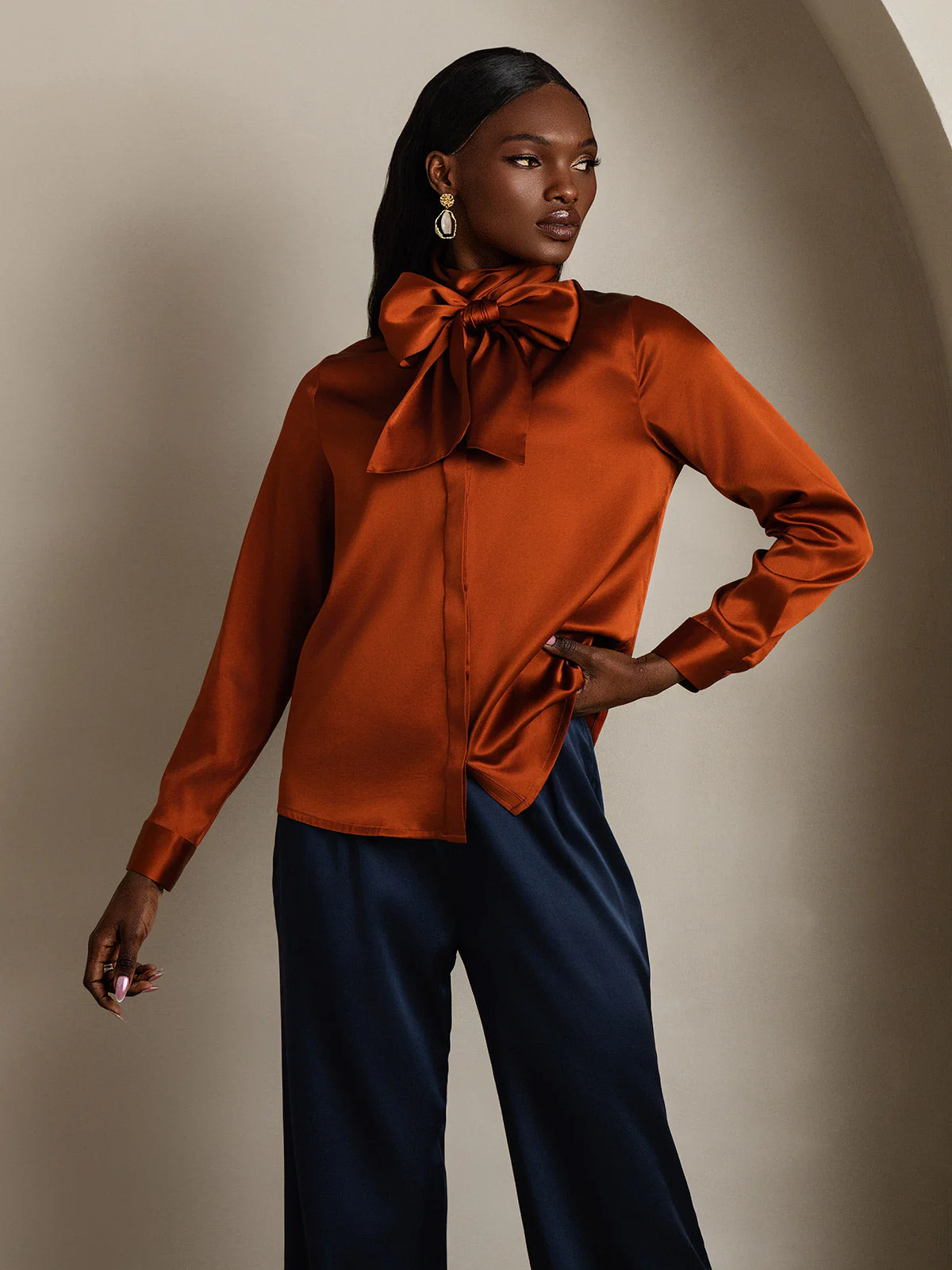 Clearance(Ships to UK Only) - 19Momme Silk Long Sleeve High Neck Bow Tie Blouse - Image 5