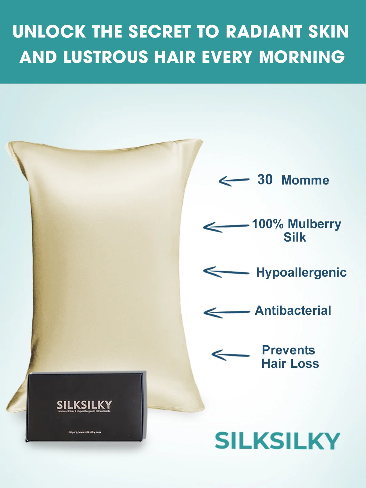 2Pcs 30Momme 100% Silk Pillowcases Bundle- Envelope - Image 45