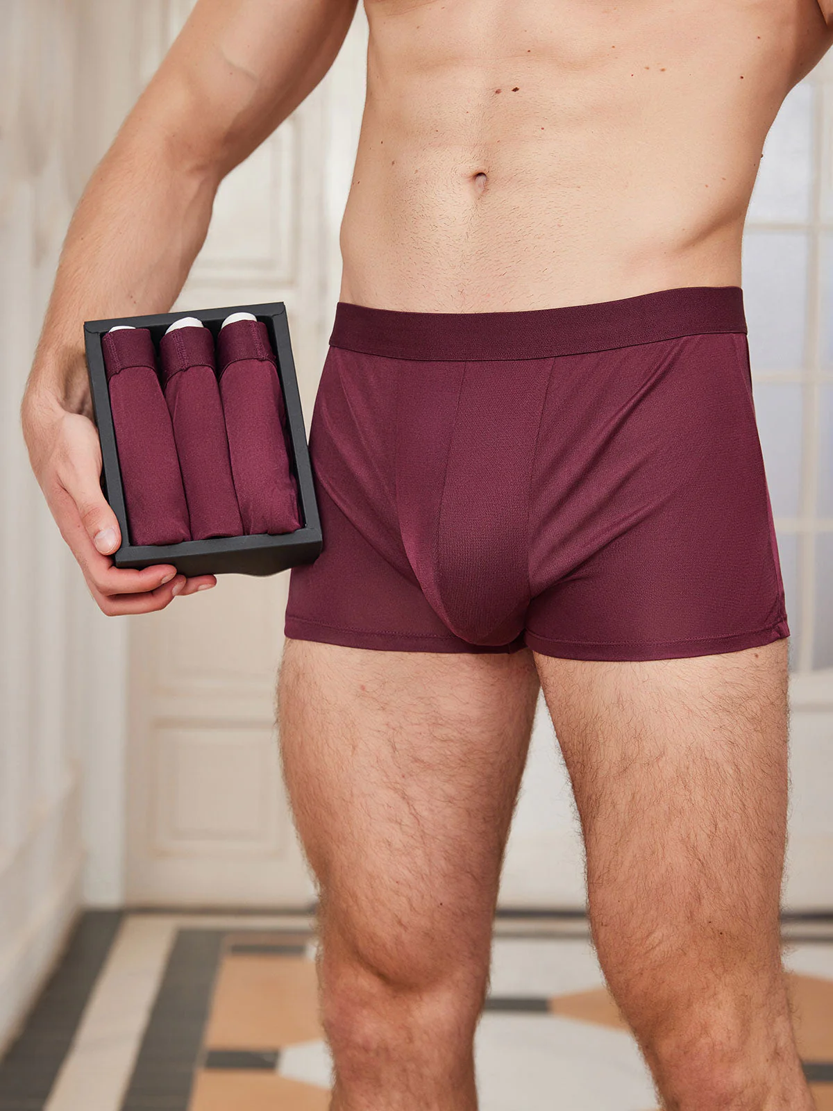 3Pcs Mens Pure Silk Boxer Briefs Underwear - Image 10