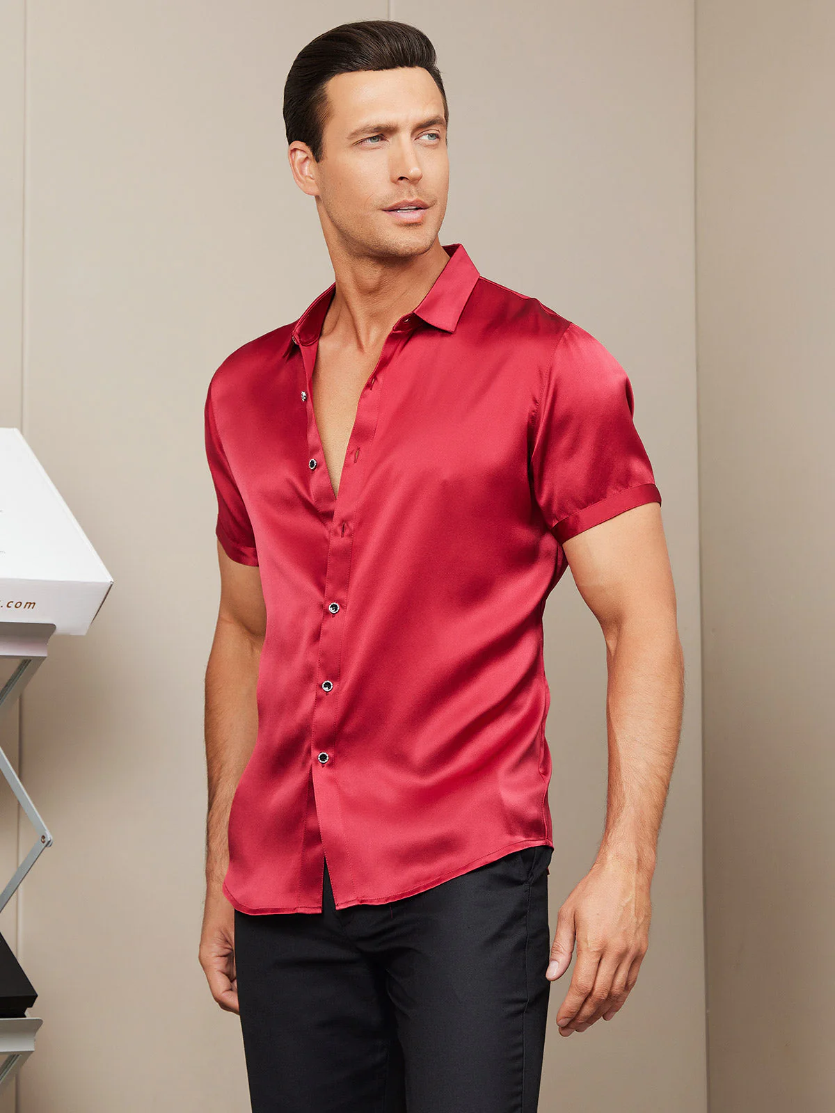 19Momme Mens Classic Short Sleeve Silk Shirt - Image 6
