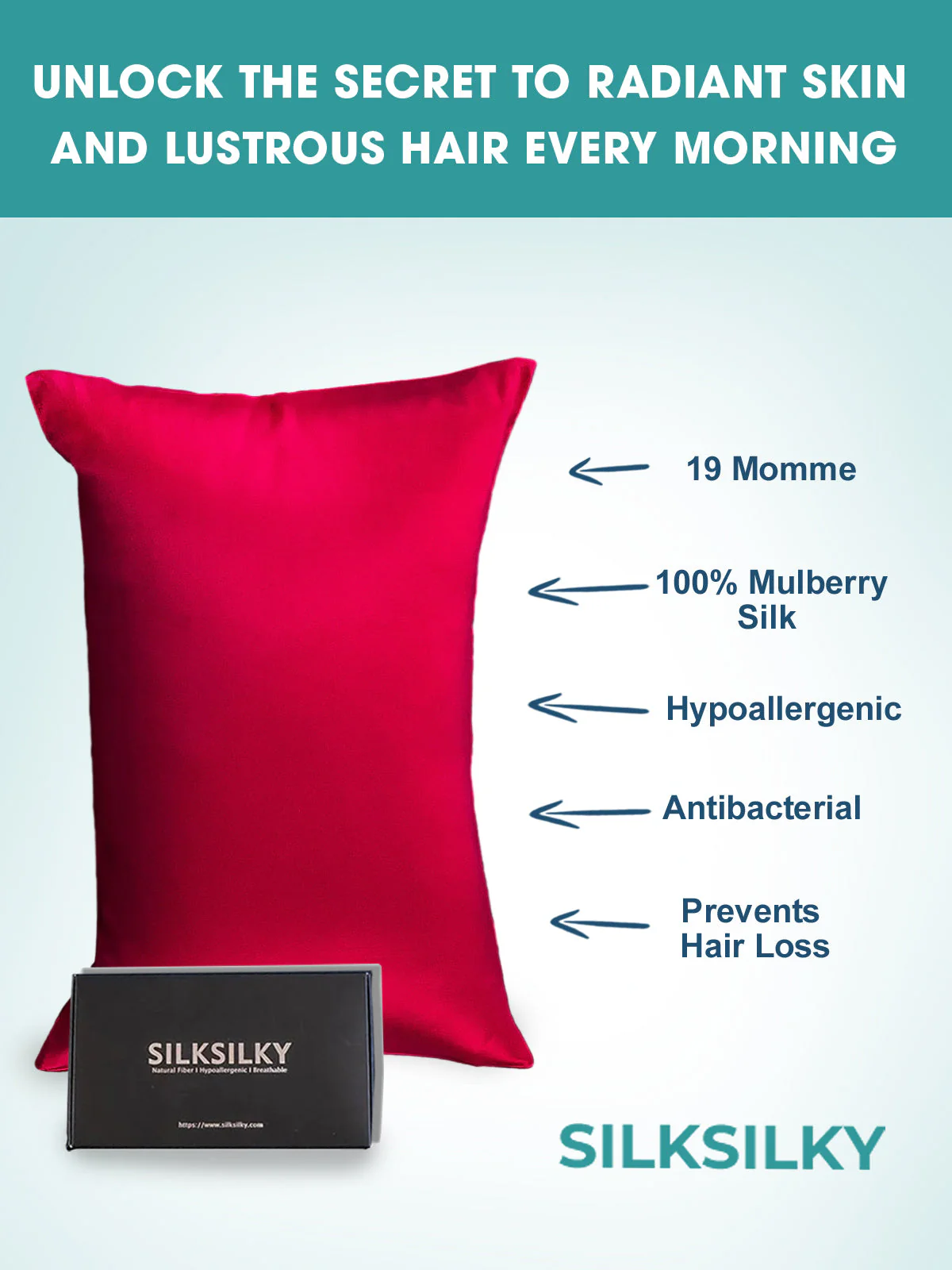 19Momme 100% Mulberry Silk Pillowcase - Envelope Closure - Image 46