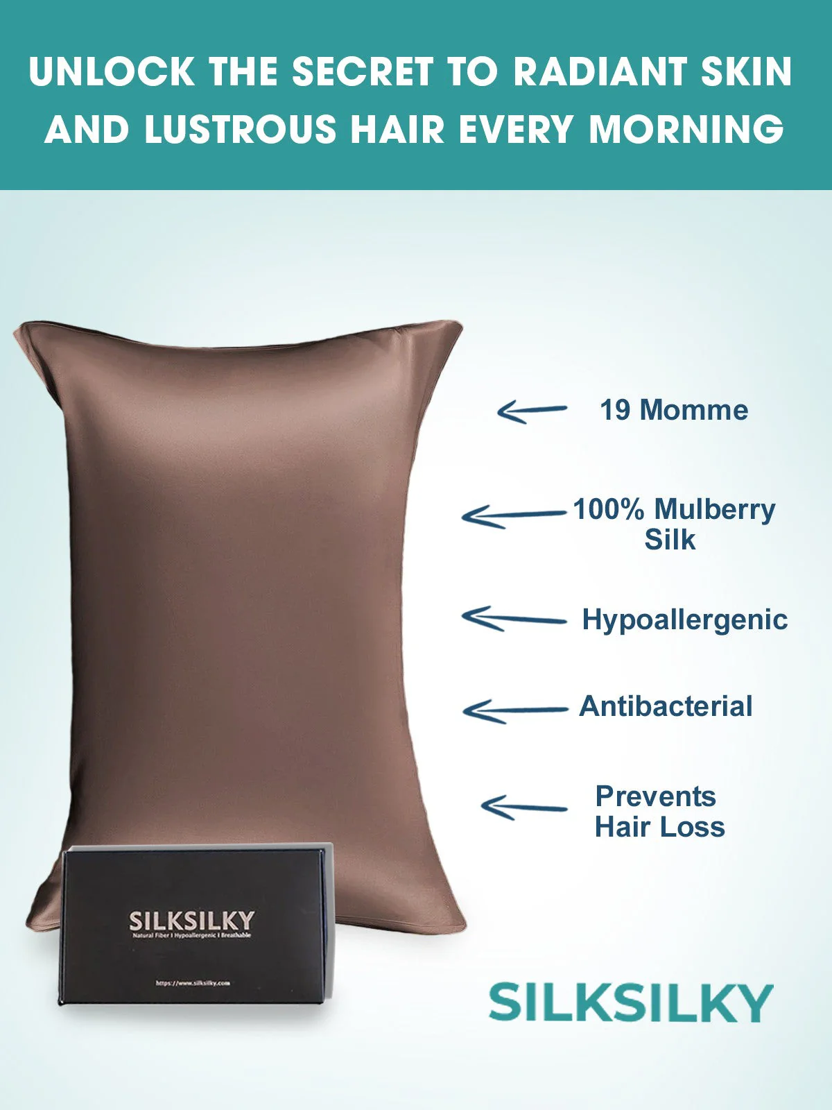 2Pcs 19Momme Pure Silk Pillowcases Bundle - Envelope - Image 105