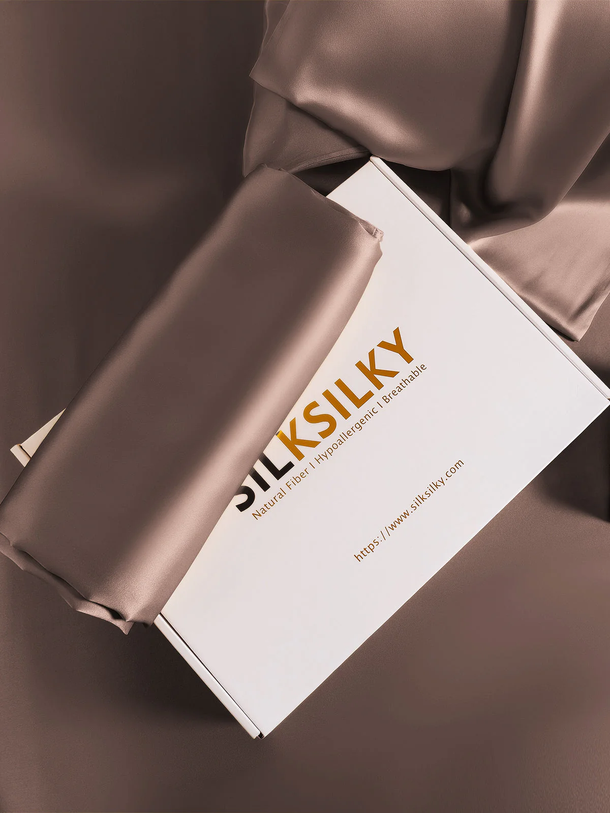 2Pcs 19Momme Pure Silk Pillowcases Bundle - Envelope - Image 109