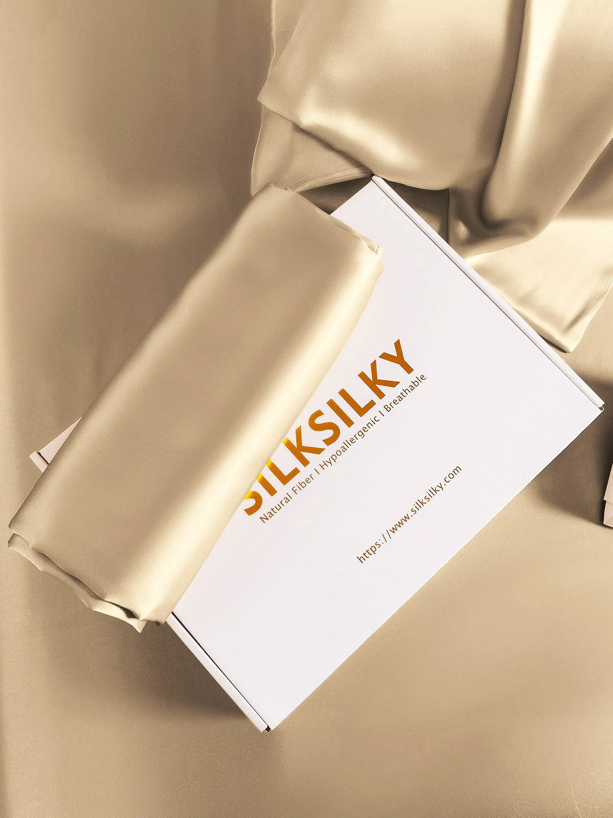 2Pcs 19Momme Pure Silk Pillowcases Bundle - Envelope - Image 48
