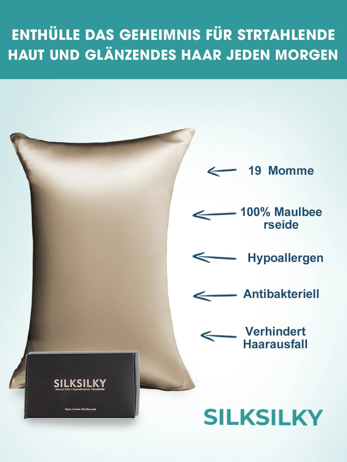 2Pcs 19Momme Pure Silk Pillowcases Bundle - Envelope - Image 93